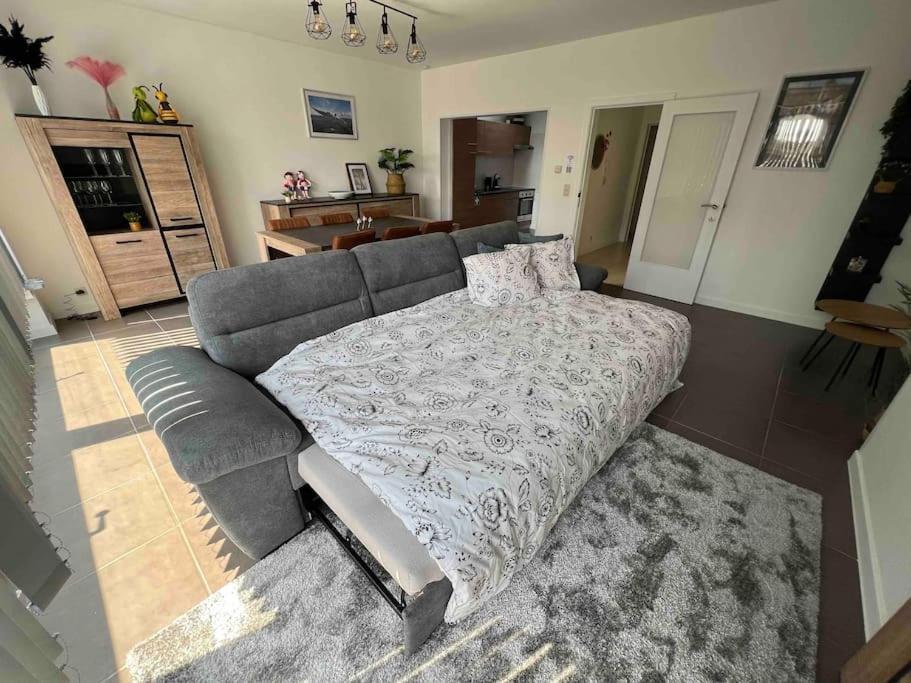 Bright, Spacious Nearby * Ostende